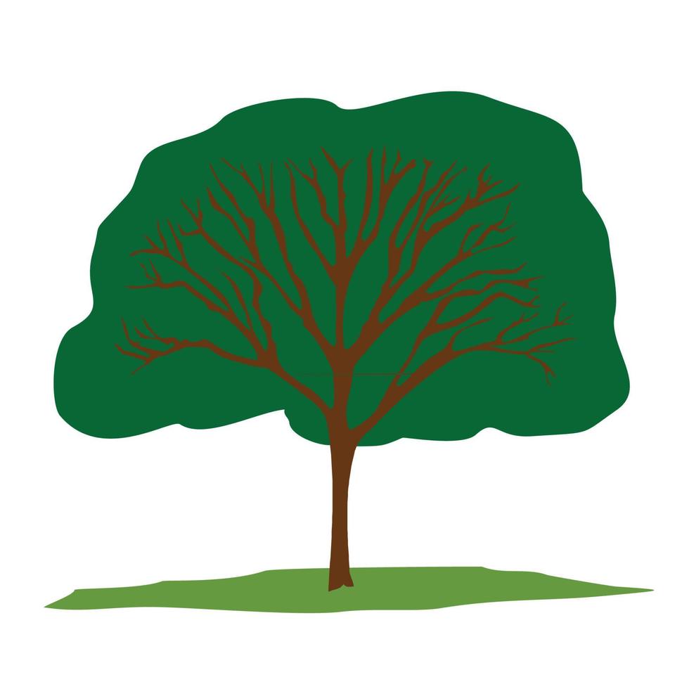 big tree illustration vector design