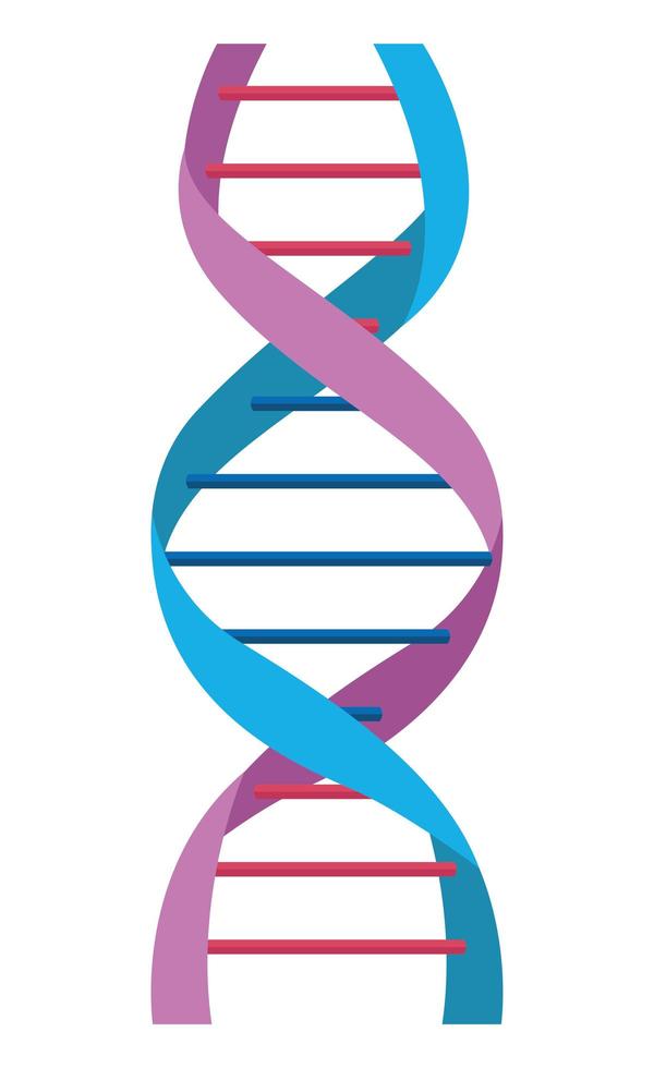 dna malecule particle vector