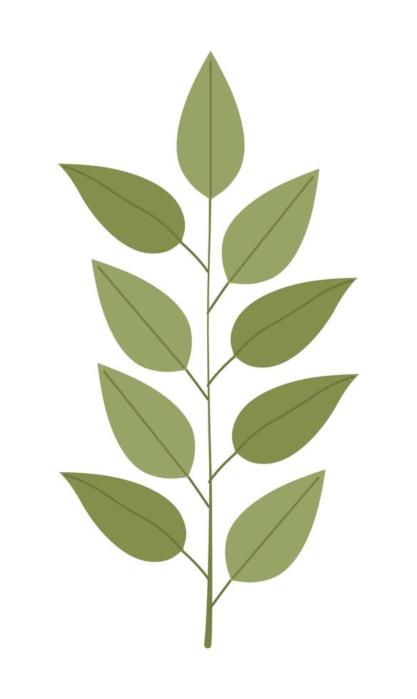 branches with leafs vector