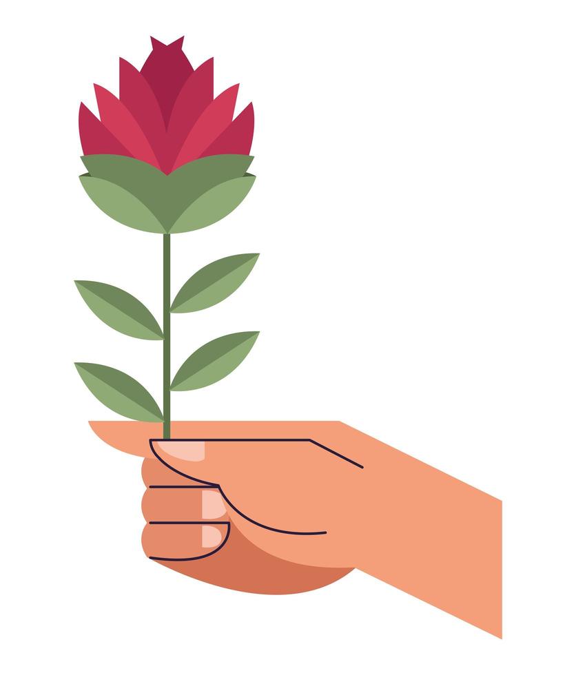 hand with rose flower vector