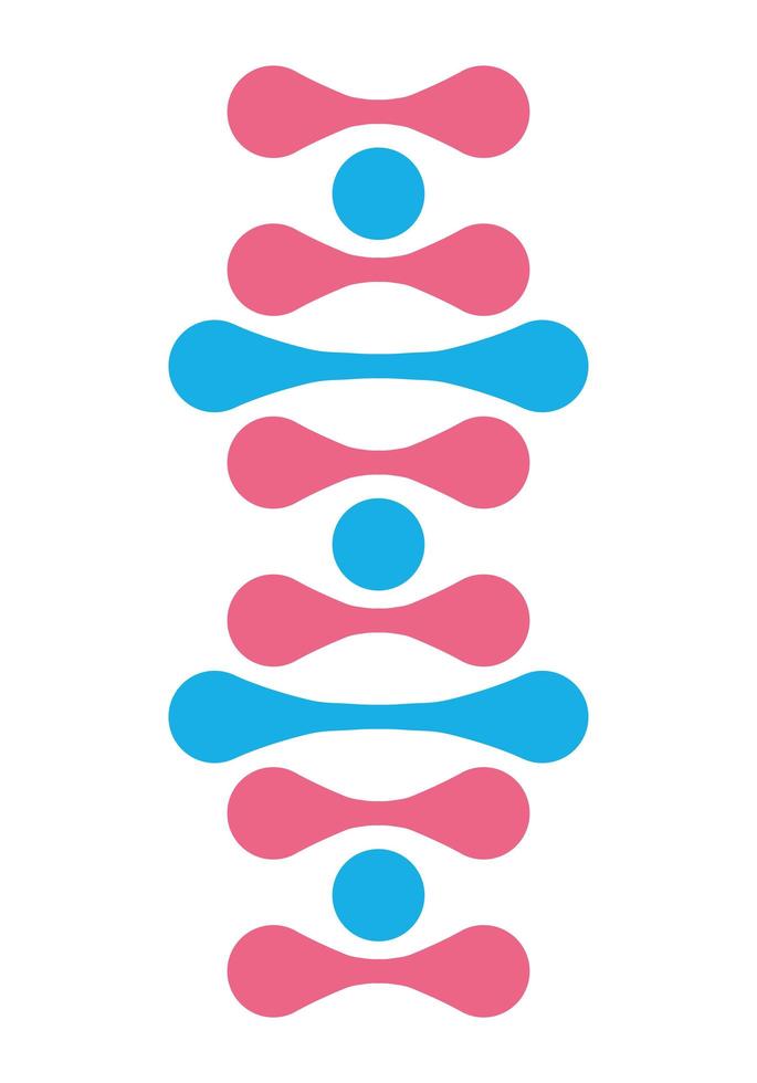dna structure molecule vector