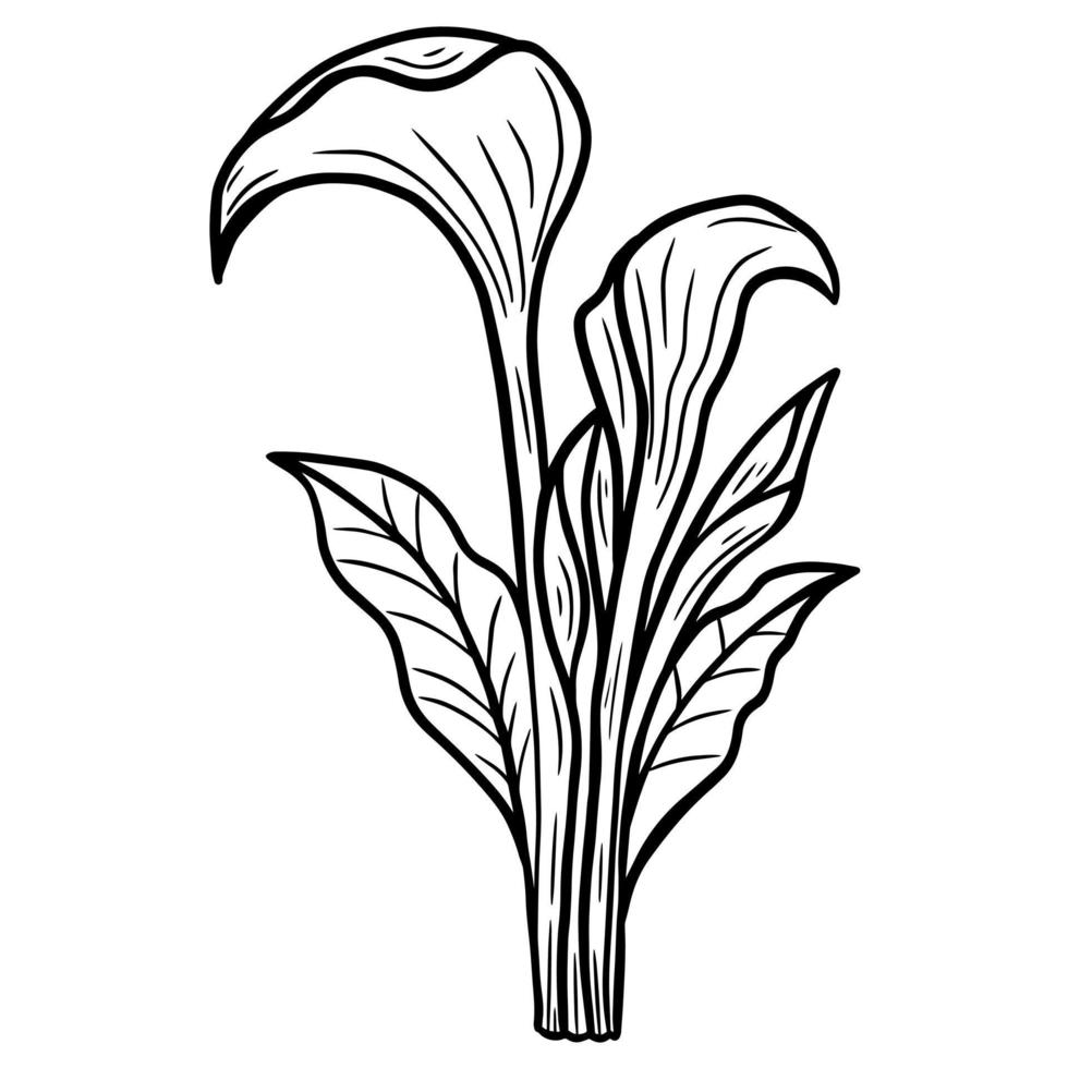 dibujado a mano flor loto hojas naturales aislado pegatina negro botánico línea arte ilustración vector