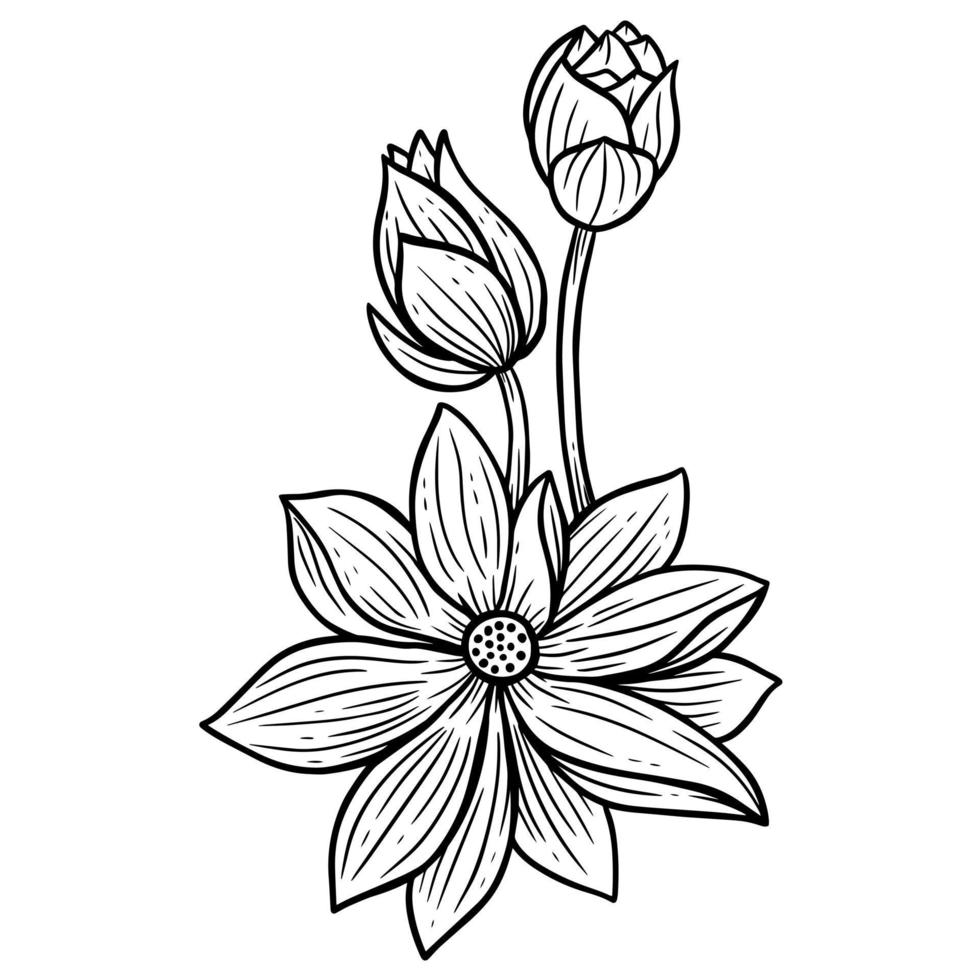 Hand Drawn Flower Lotus leafs naturals isolated sticker black botanical Line Art illustration vector