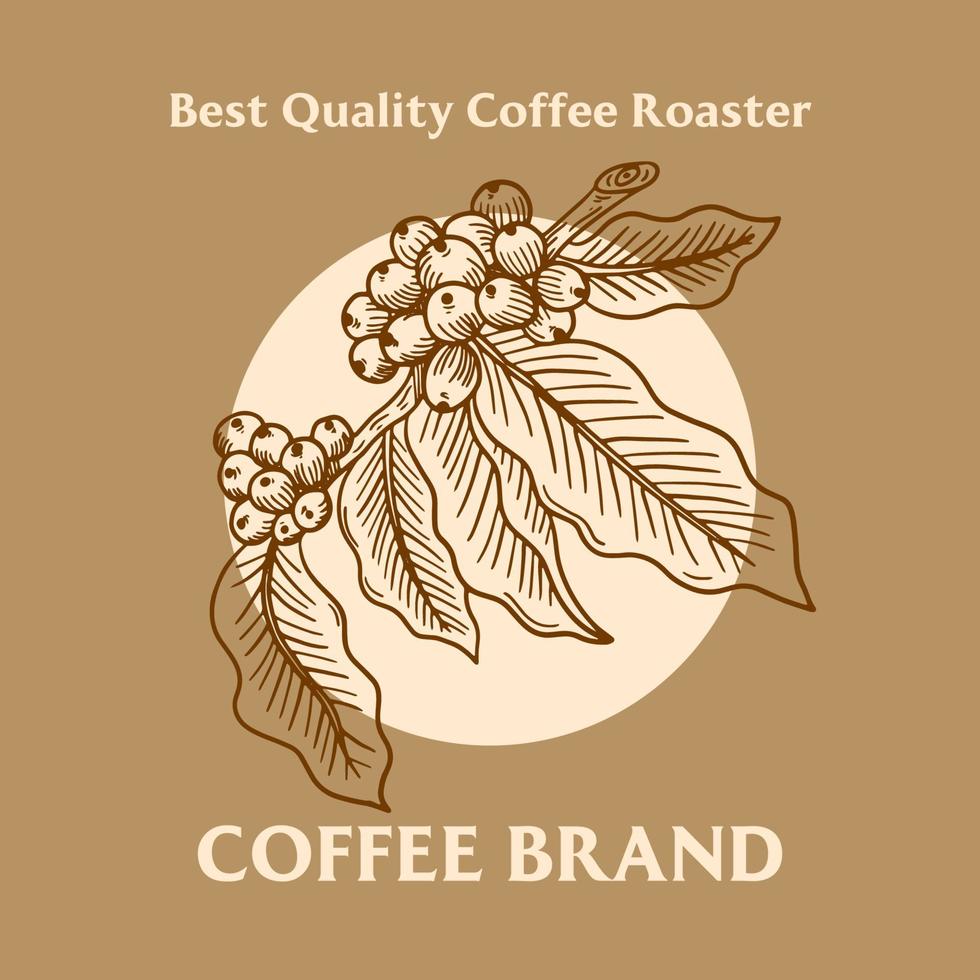 Branch of coffee with beans and leaf hand drawn  Brand illustration vector