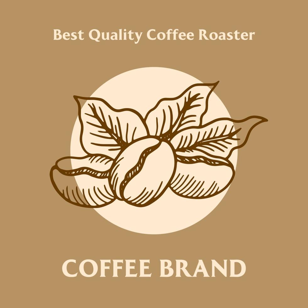 Branch of coffee with beans and leaf hand drawn  Brand illustration vector