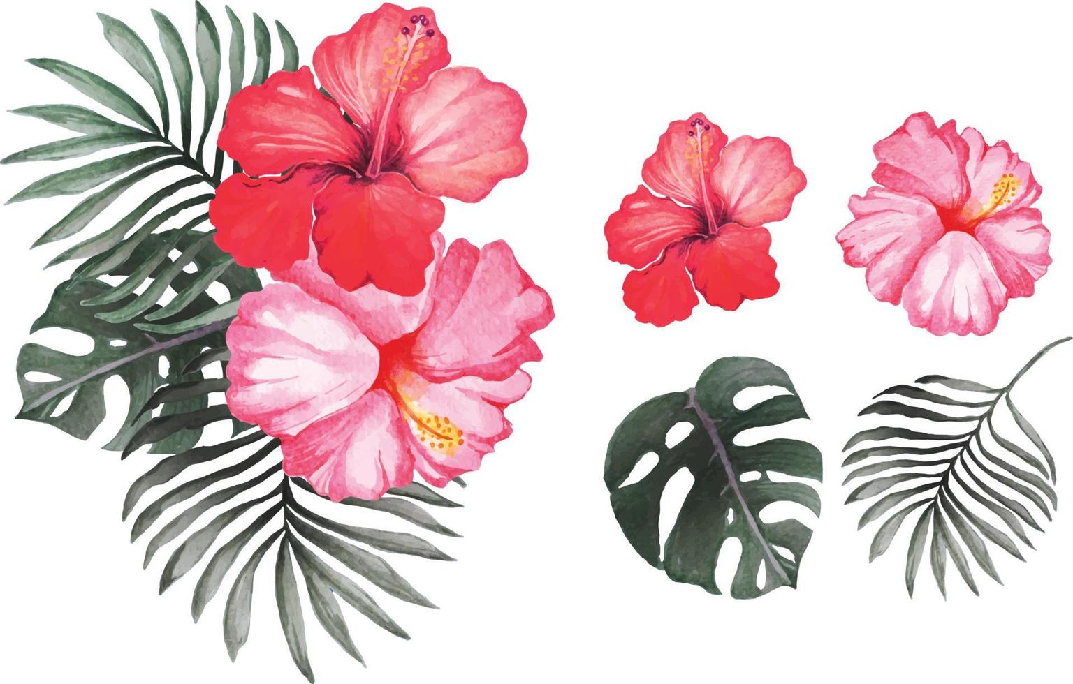 flores de hibisco pintadas con acuarelas 8 vector