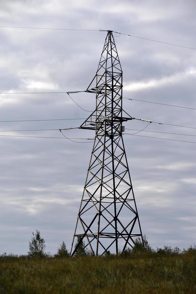 High voltage power line in the steppe field photo