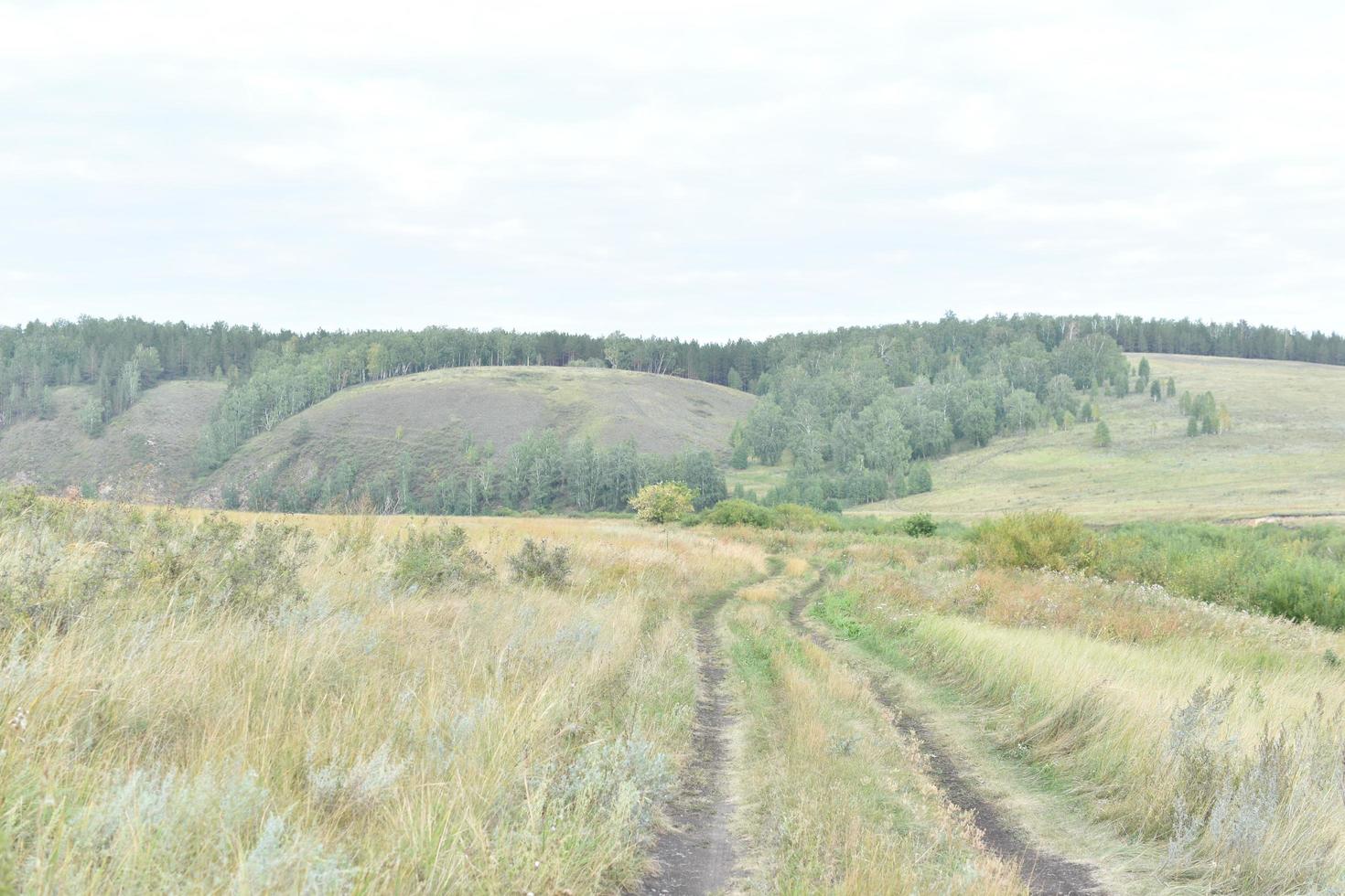 River and mountain with trees in the steppe field photo