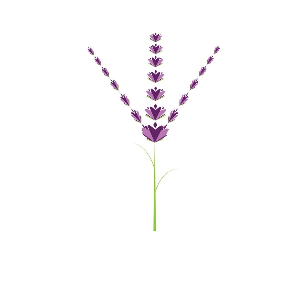 diseño plano de vector de logotipo de flor de lavanda fresca