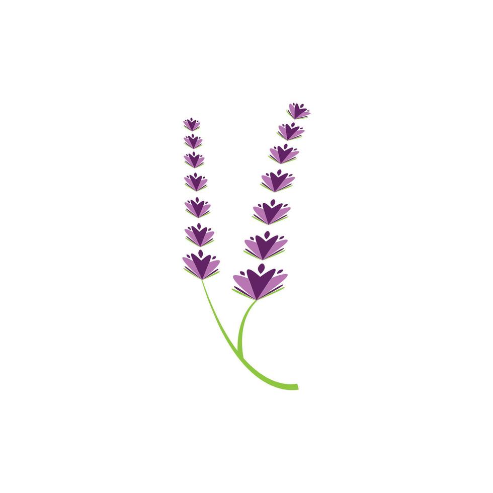 diseño plano de vector de logotipo de flor de lavanda fresca