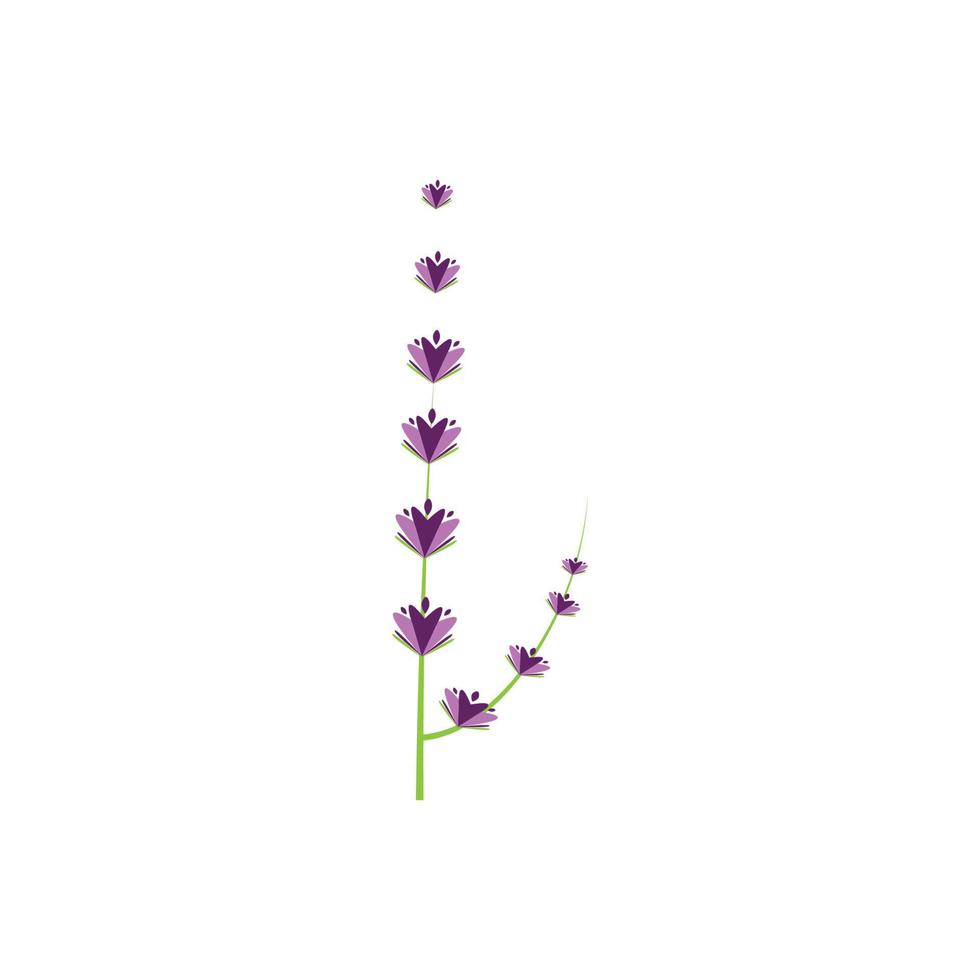 diseño plano de vector de logotipo de flor de lavanda fresca