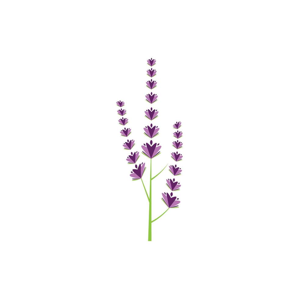 diseño plano de vector de logotipo de flor de lavanda fresca