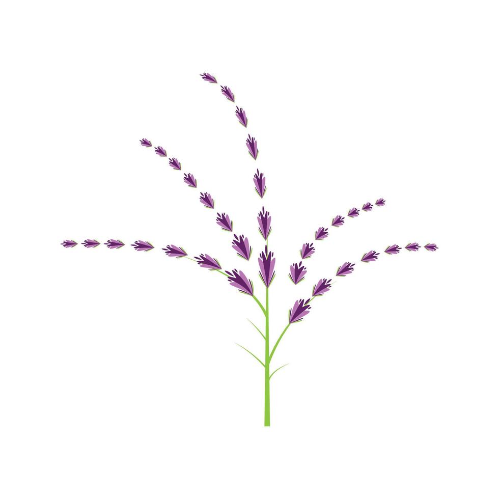 diseño plano de vector de logotipo de flor de lavanda fresca