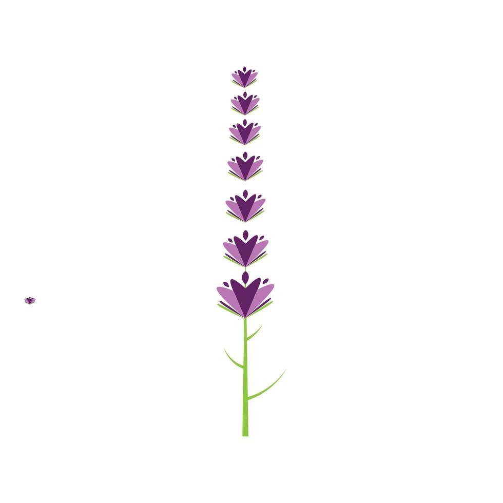 diseño plano de vector de logotipo de flor de lavanda fresca