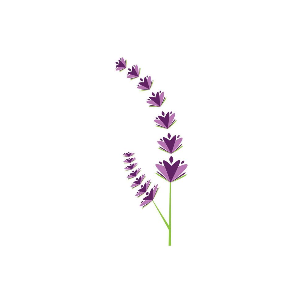 diseño plano de vector de logotipo de flor de lavanda fresca