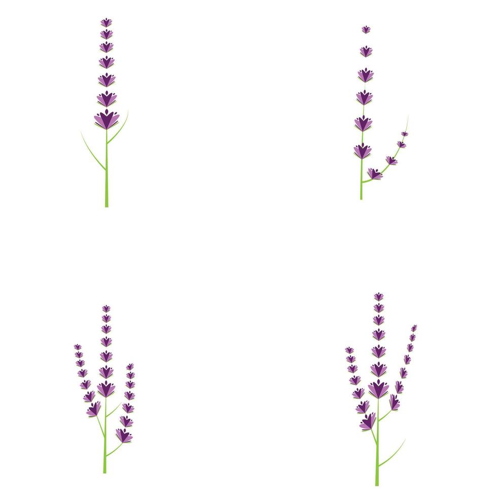 diseño plano de vector de logotipo de flor de lavanda fresca