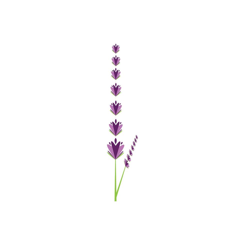 diseño plano de vector de logotipo de flor de lavanda fresca