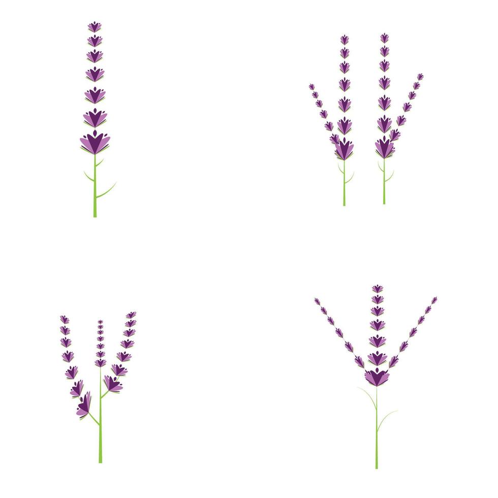 Fresh Lavender flower logo vector flat design