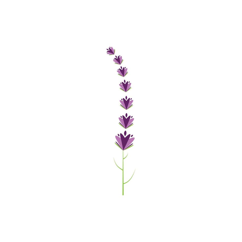 diseño plano de vector de logotipo de flor de lavanda fresca