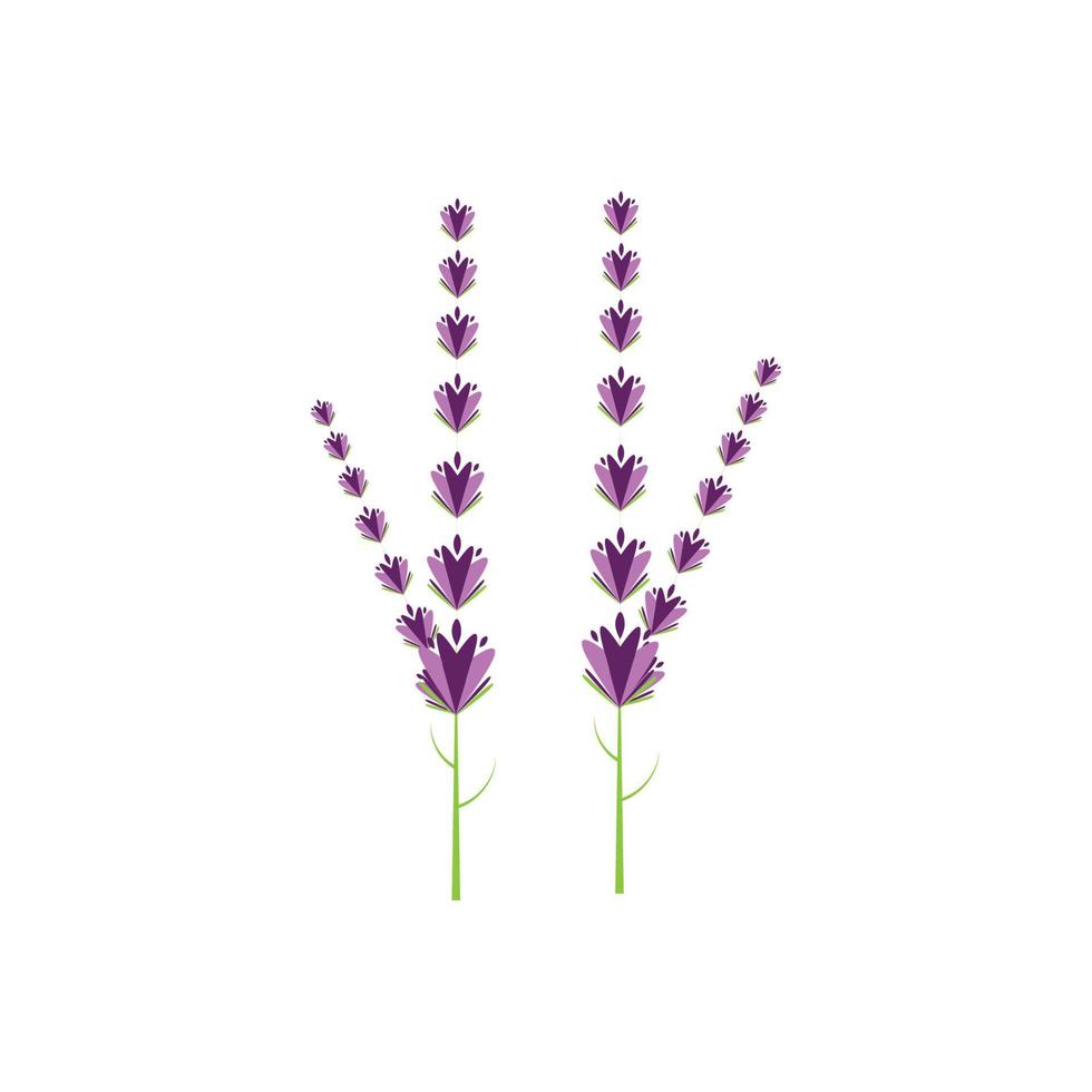 diseño plano de vector de logotipo de flor de lavanda fresca