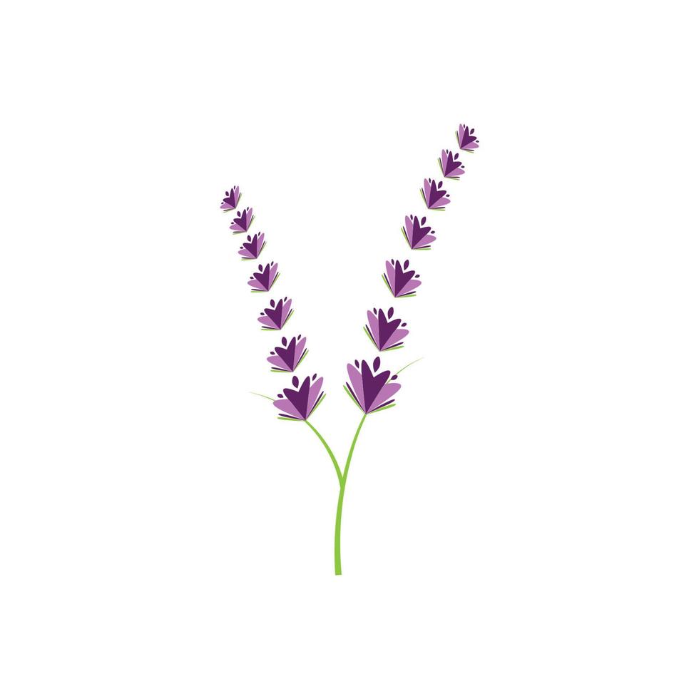 diseño plano de vector de logotipo de flor de lavanda fresca