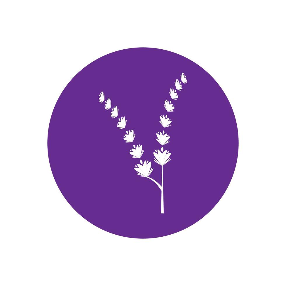 diseño plano de vector de logotipo de flor de lavanda fresca