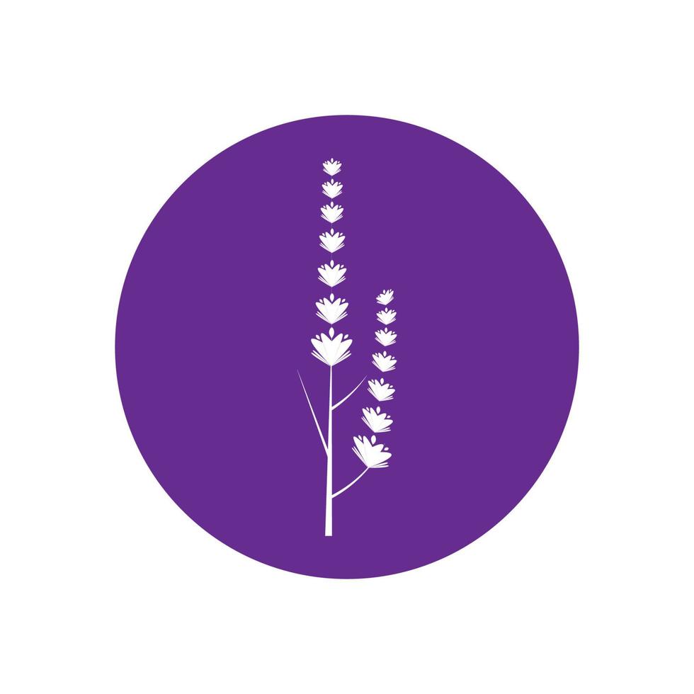 diseño plano de vector de logotipo de flor de lavanda fresca