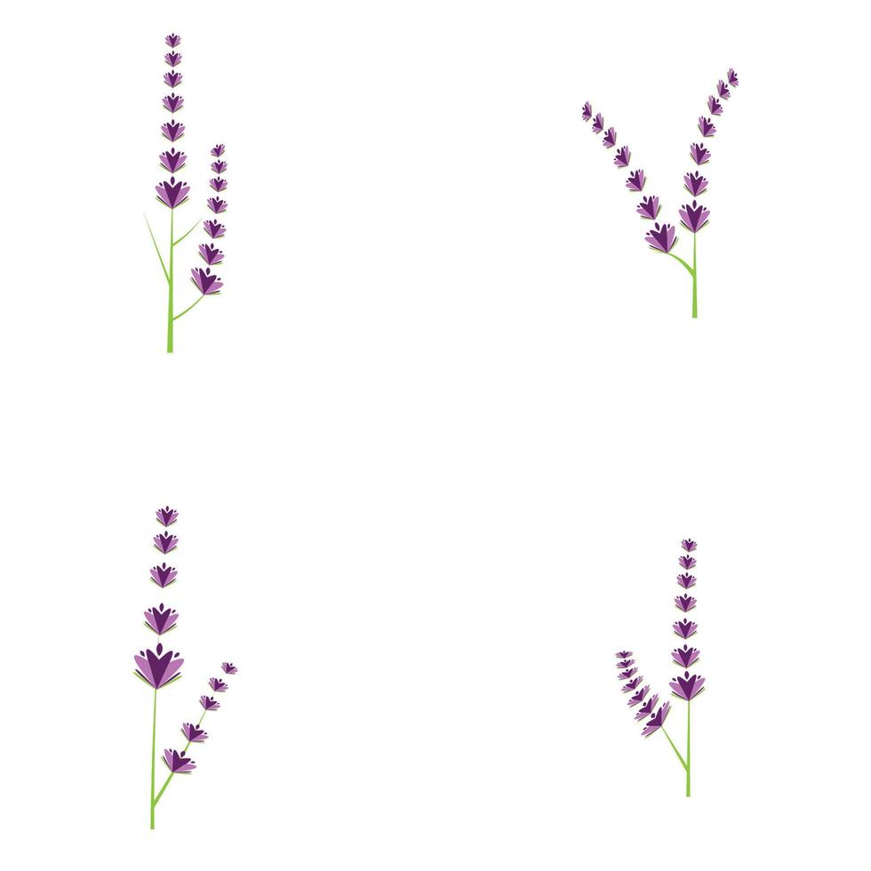 diseño plano de vector de logotipo de flor de lavanda fresca