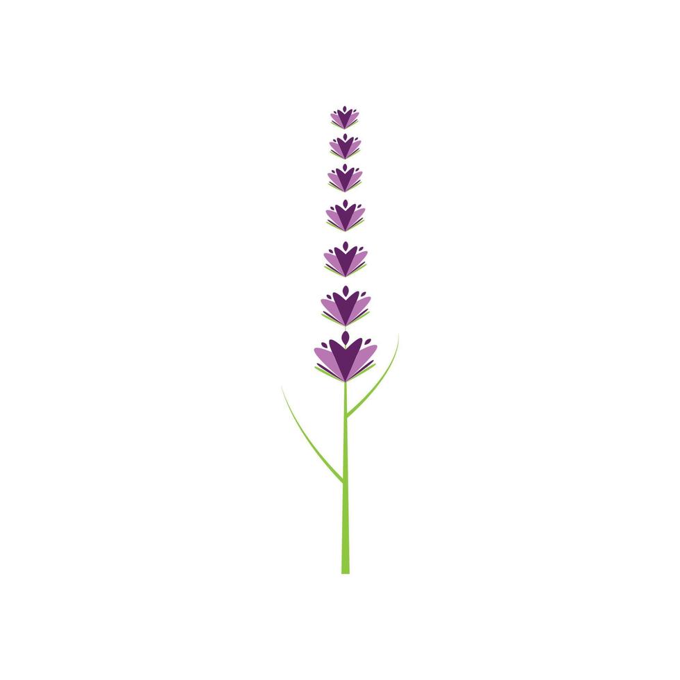 diseño plano de vector de logotipo de flor de lavanda fresca