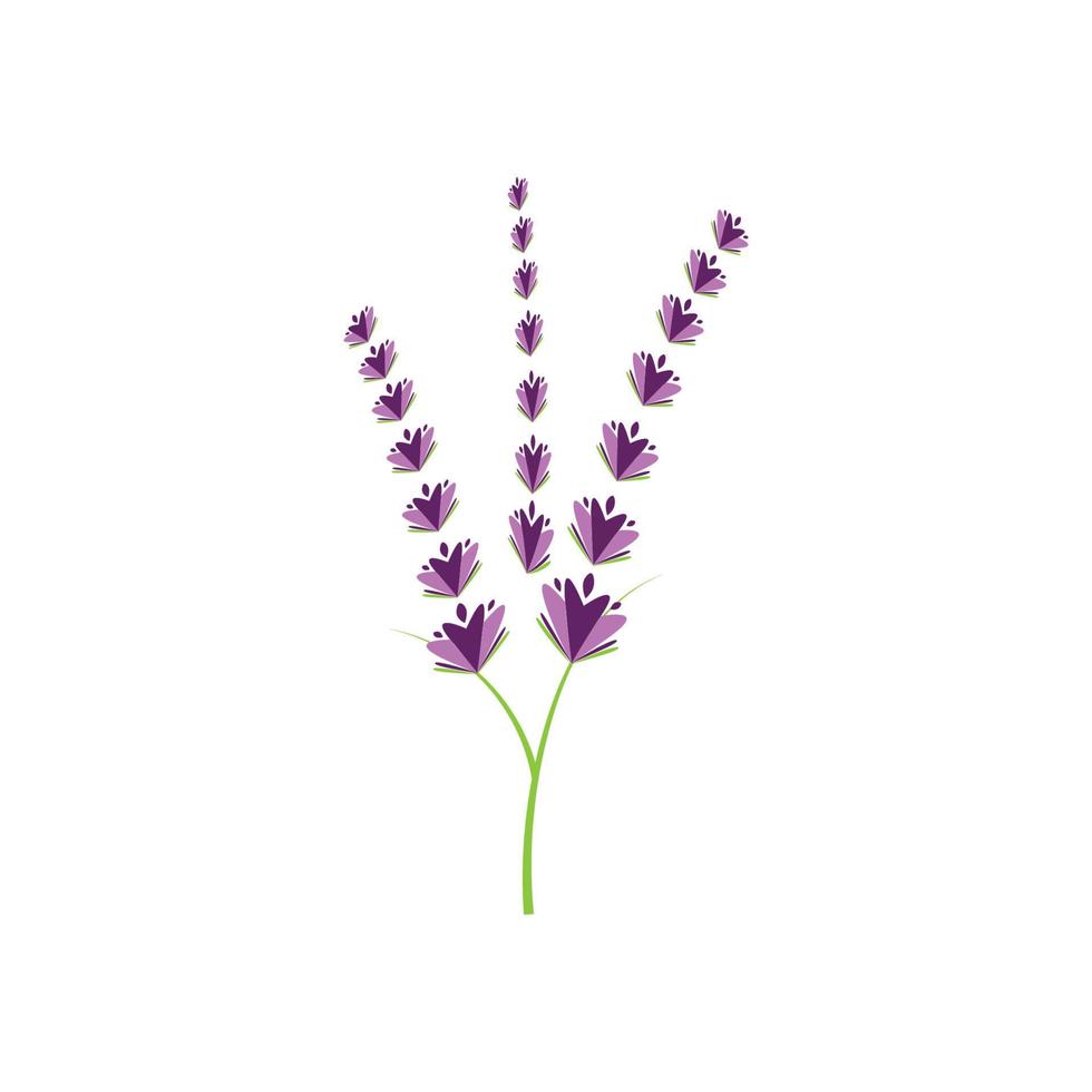 Fresh Lavender flower logo vector flat design