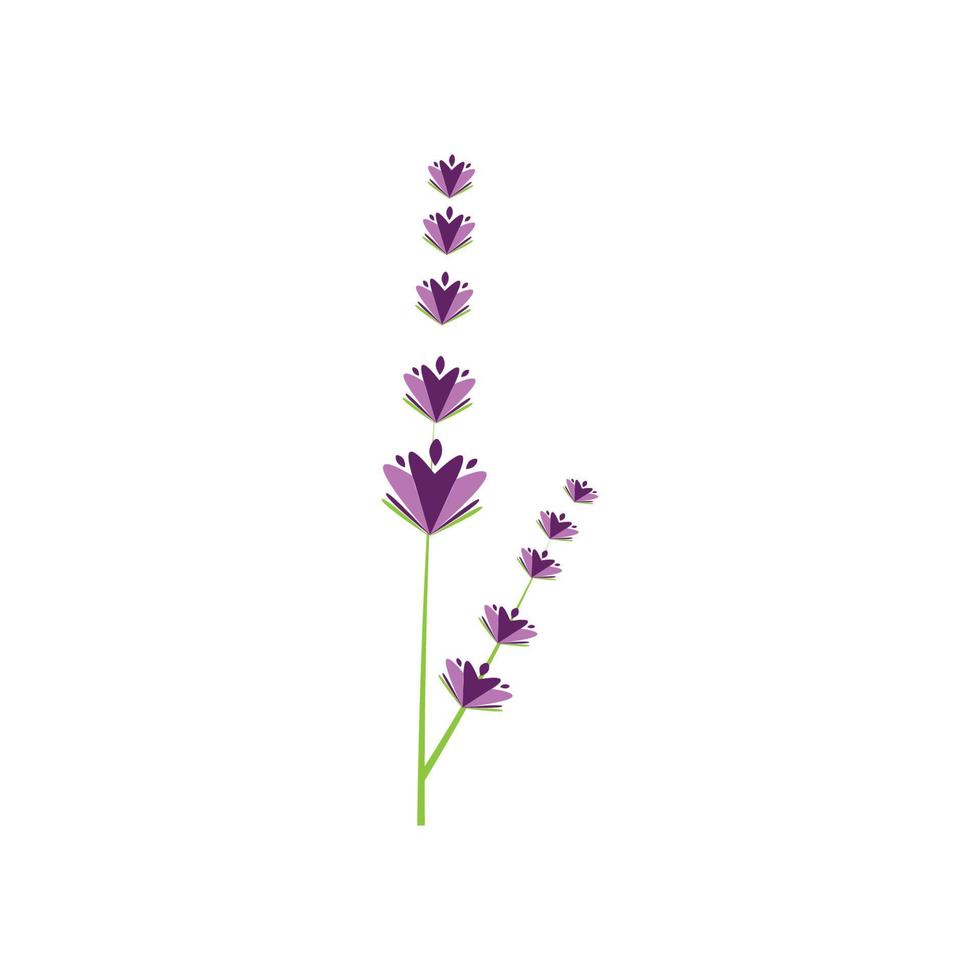 diseño plano de vector de logotipo de flor de lavanda fresca