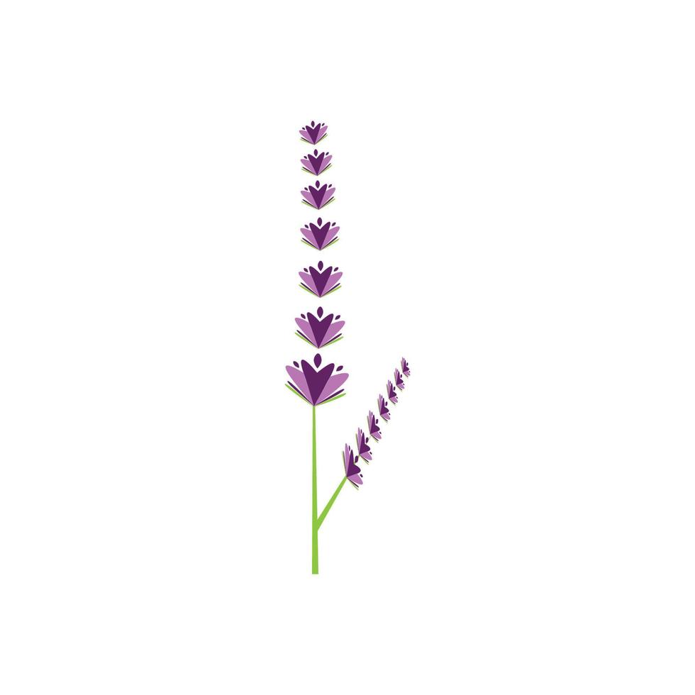 diseño plano de vector de logotipo de flor de lavanda fresca