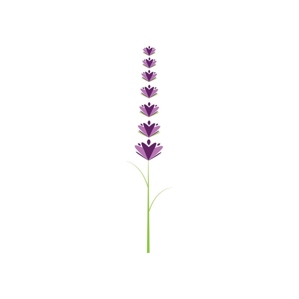 diseño plano de vector de logotipo de flor de lavanda fresca