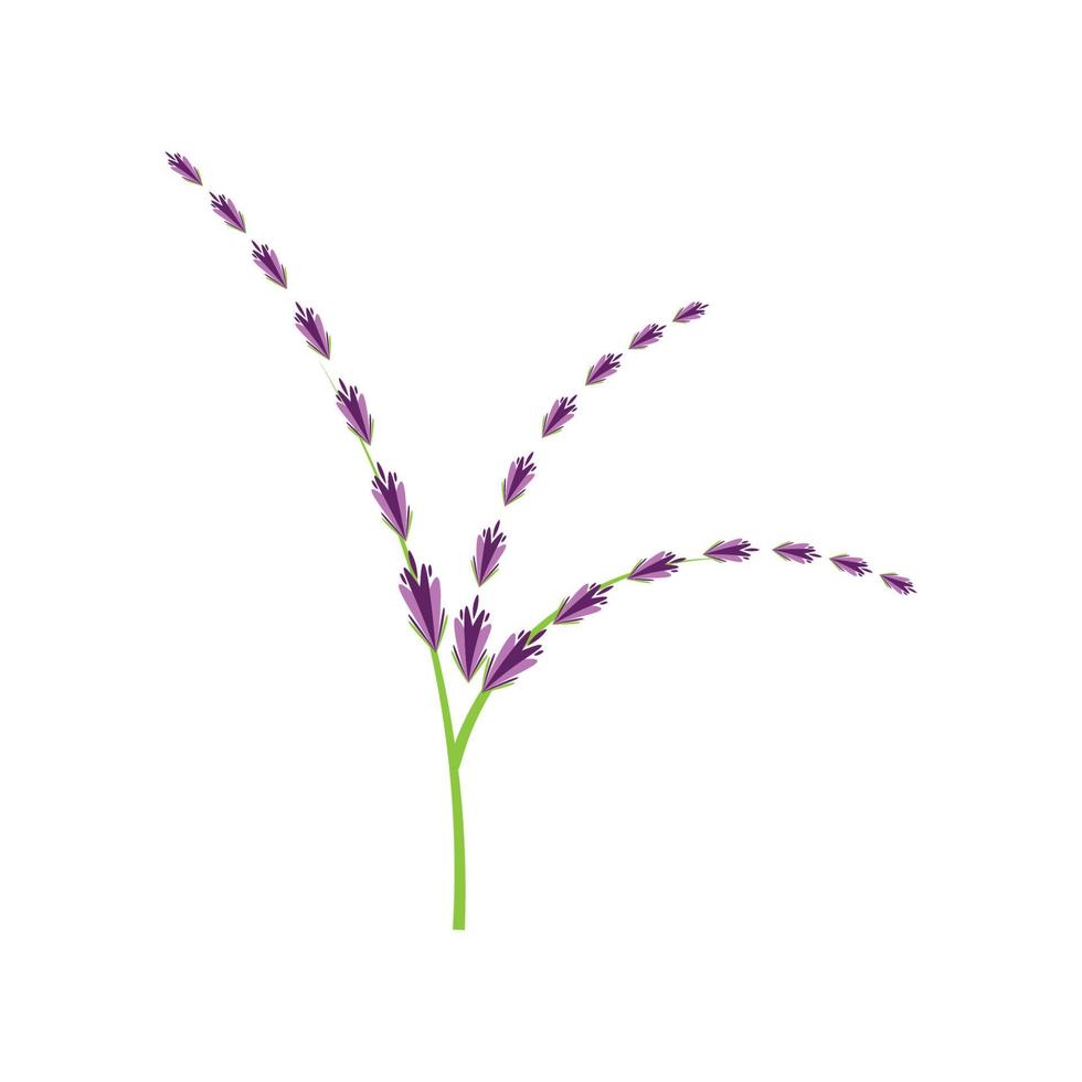 diseño plano de vector de logotipo de flor de lavanda fresca