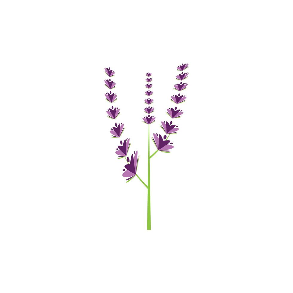 diseño plano de vector de logotipo de flor de lavanda fresca