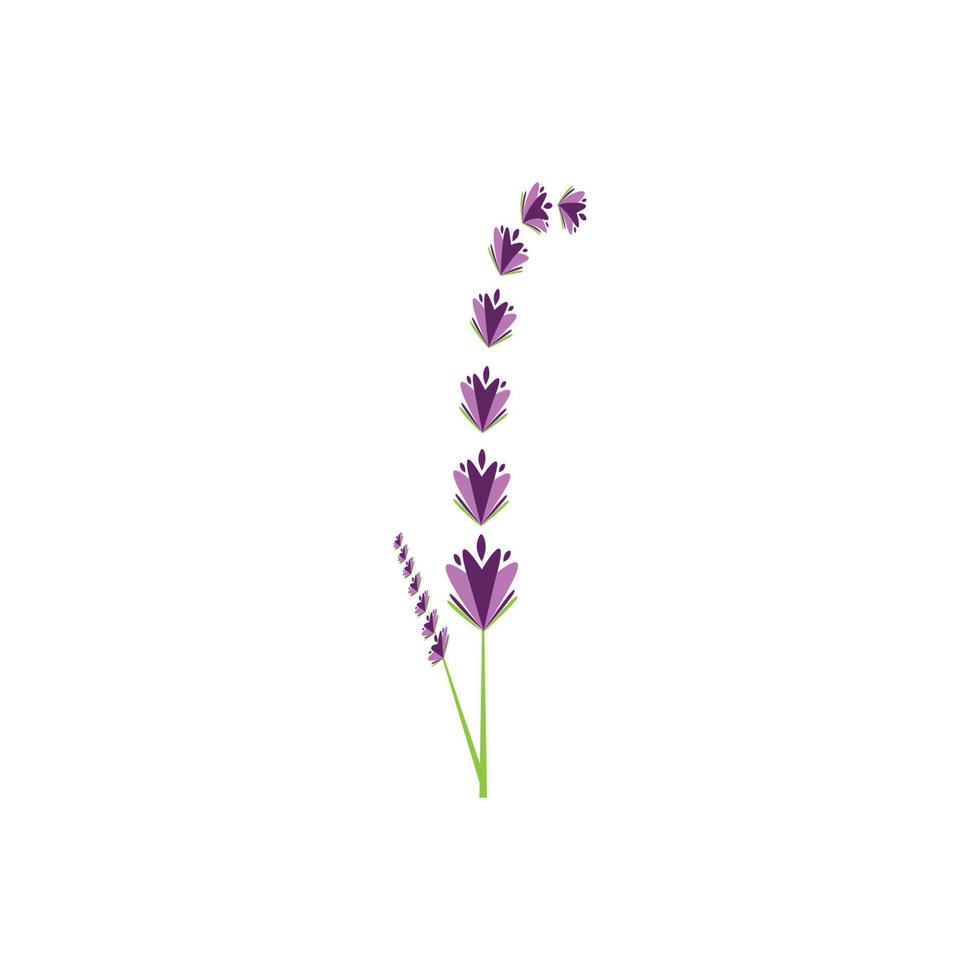 diseño plano de vector de logotipo de flor de lavanda fresca