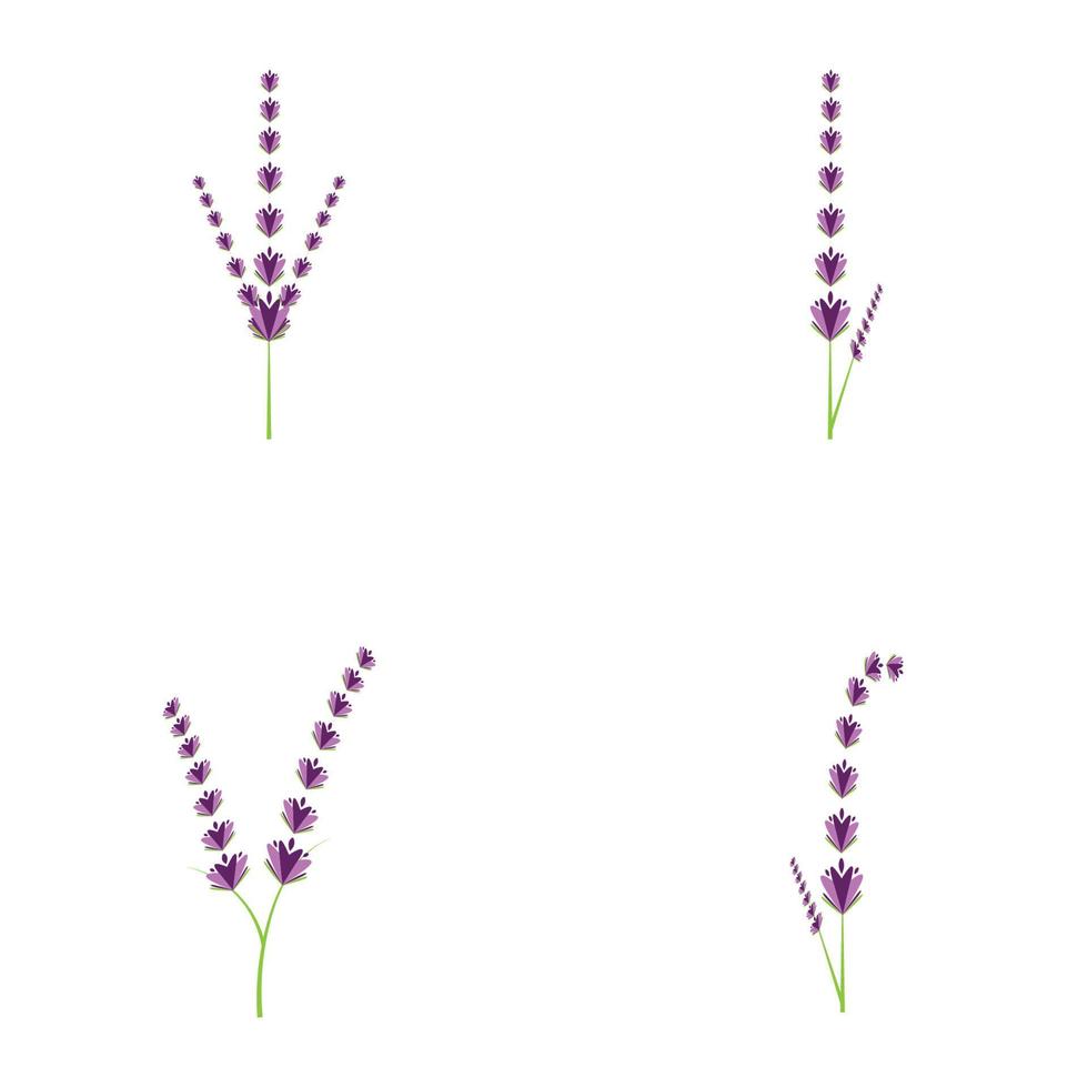 Fresh Lavender flower logo vector flat design