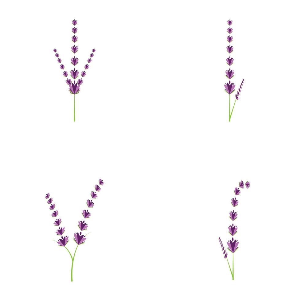 diseño plano de vector de logotipo de flor de lavanda fresca