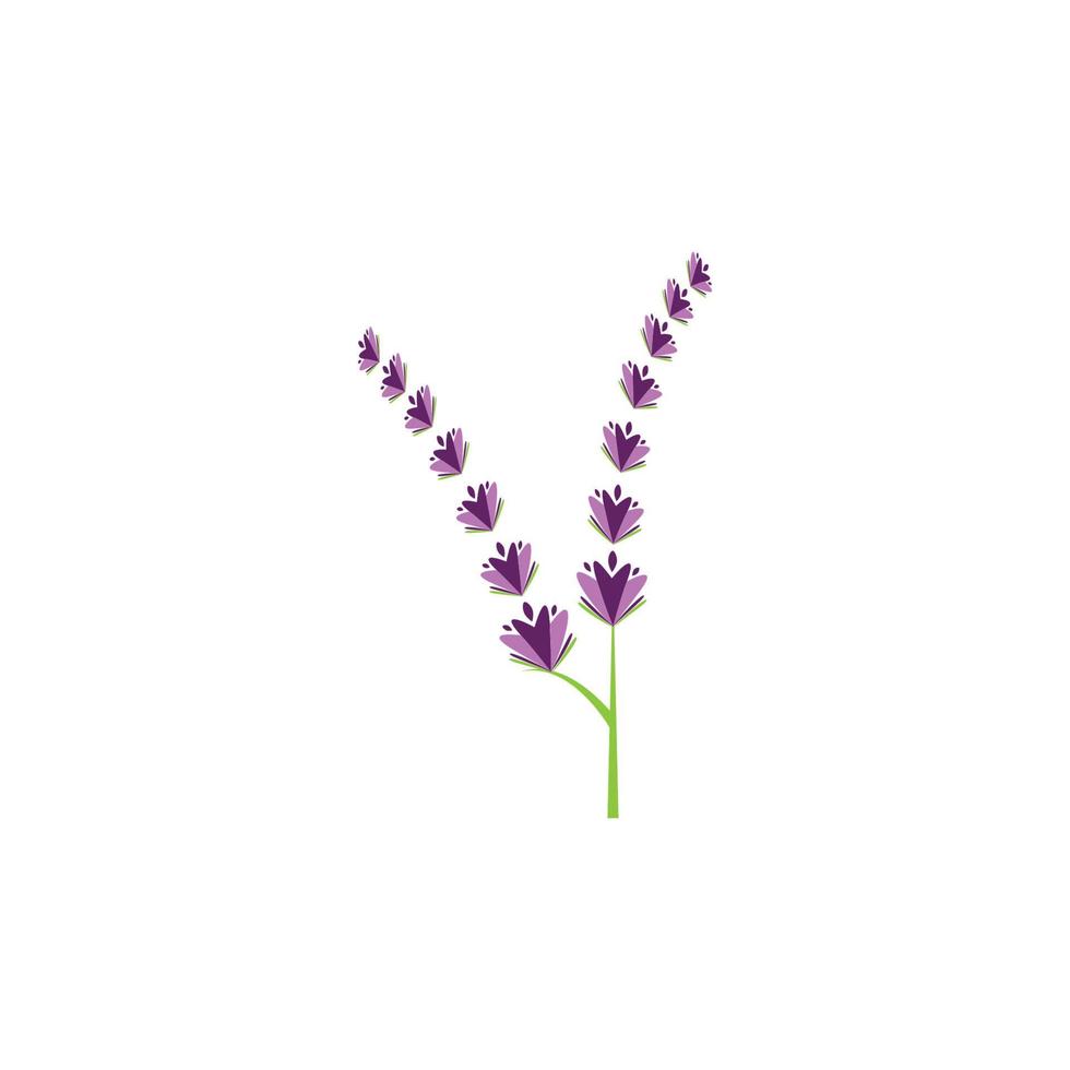 diseño plano de vector de logotipo de flor de lavanda fresca