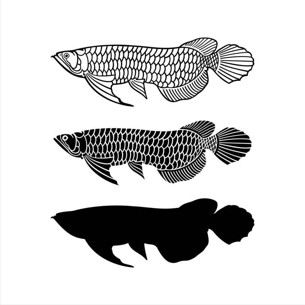 Arowana fish vector icon shillouette