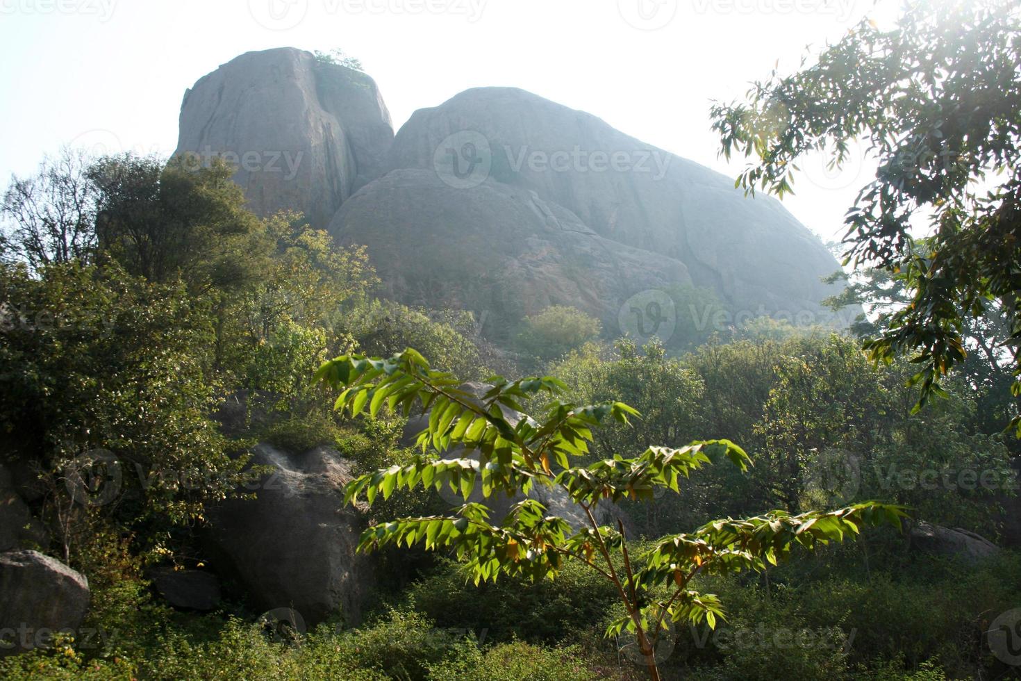 montaña rocosa cubierta de neblina en el fondo detrás del follaje verde foto