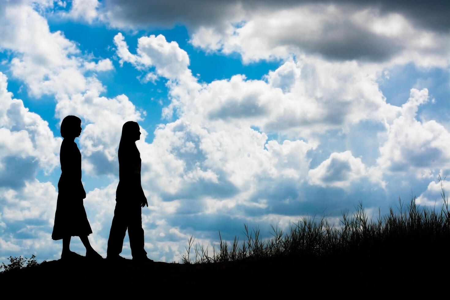 silhouette couple of girls walking photo