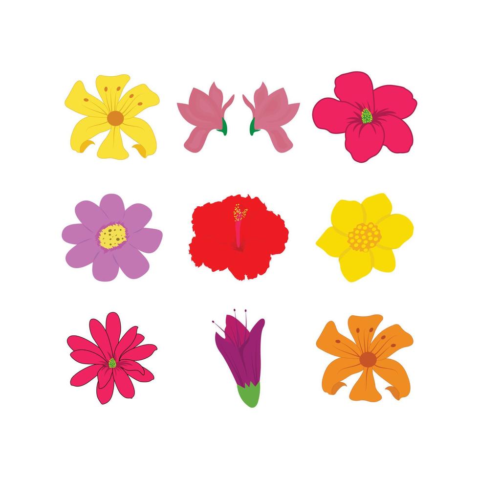 diseño floral conjunto de arte vectorial. vector