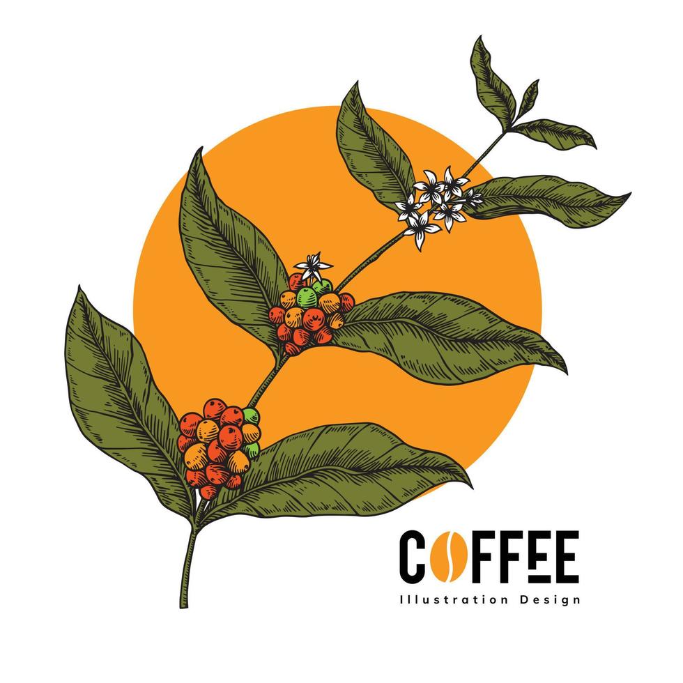 coffee artwork for poster design vector