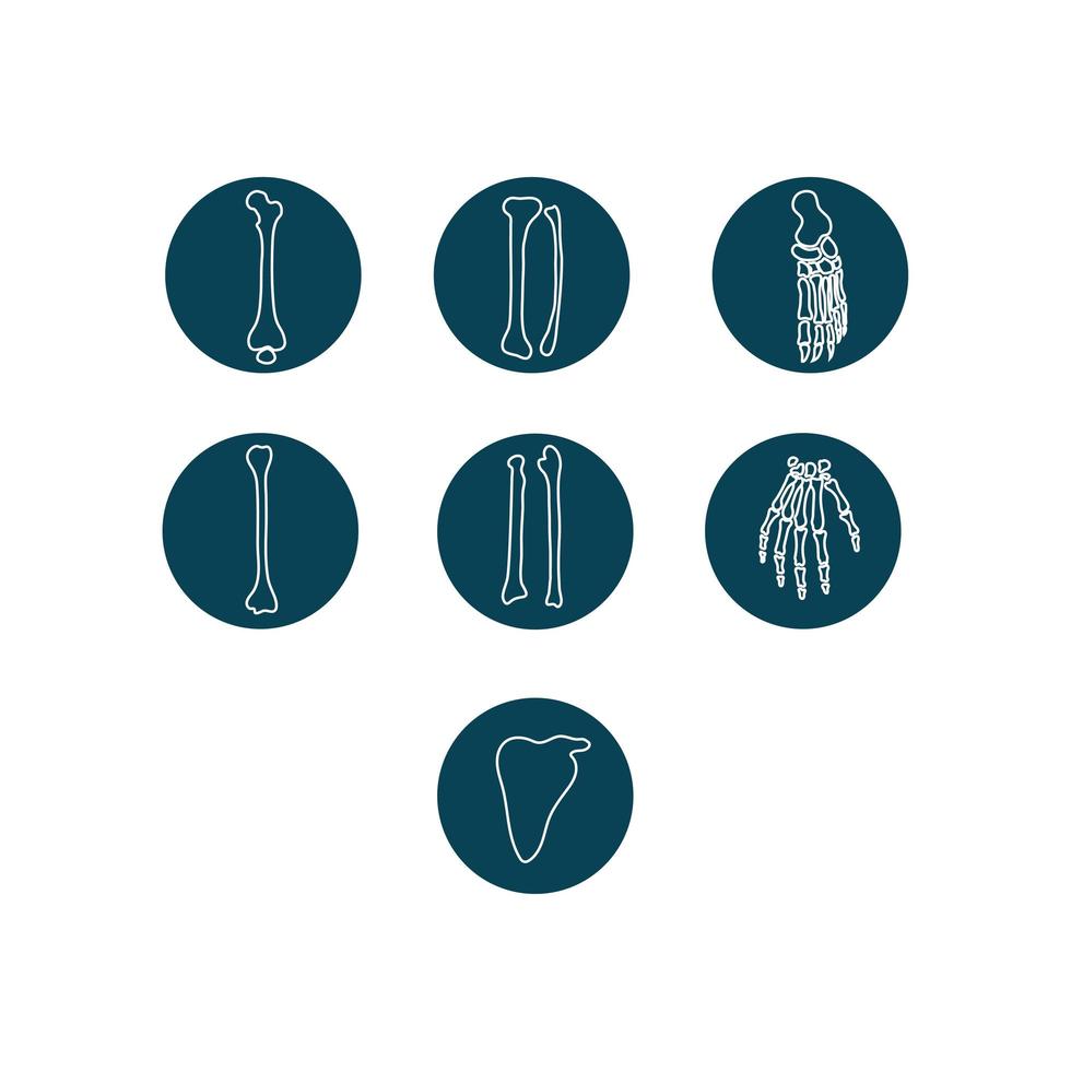 Human bones and orthopedic line vector icon set