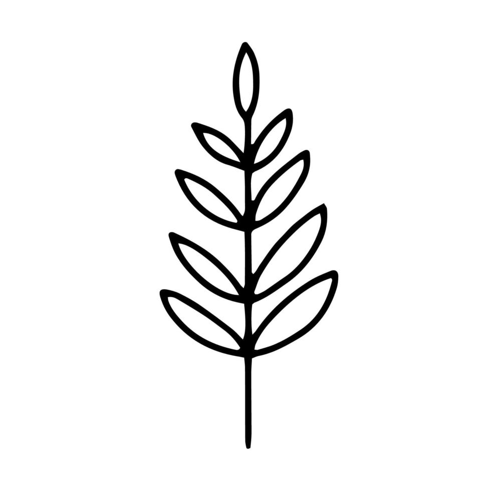 Branch with leaves drawing a line.Contour drawing made by hand.Floral design, for decoration, bouquets, decoration.Doodles.Black and white image.Isolated on a white background.Vector vector