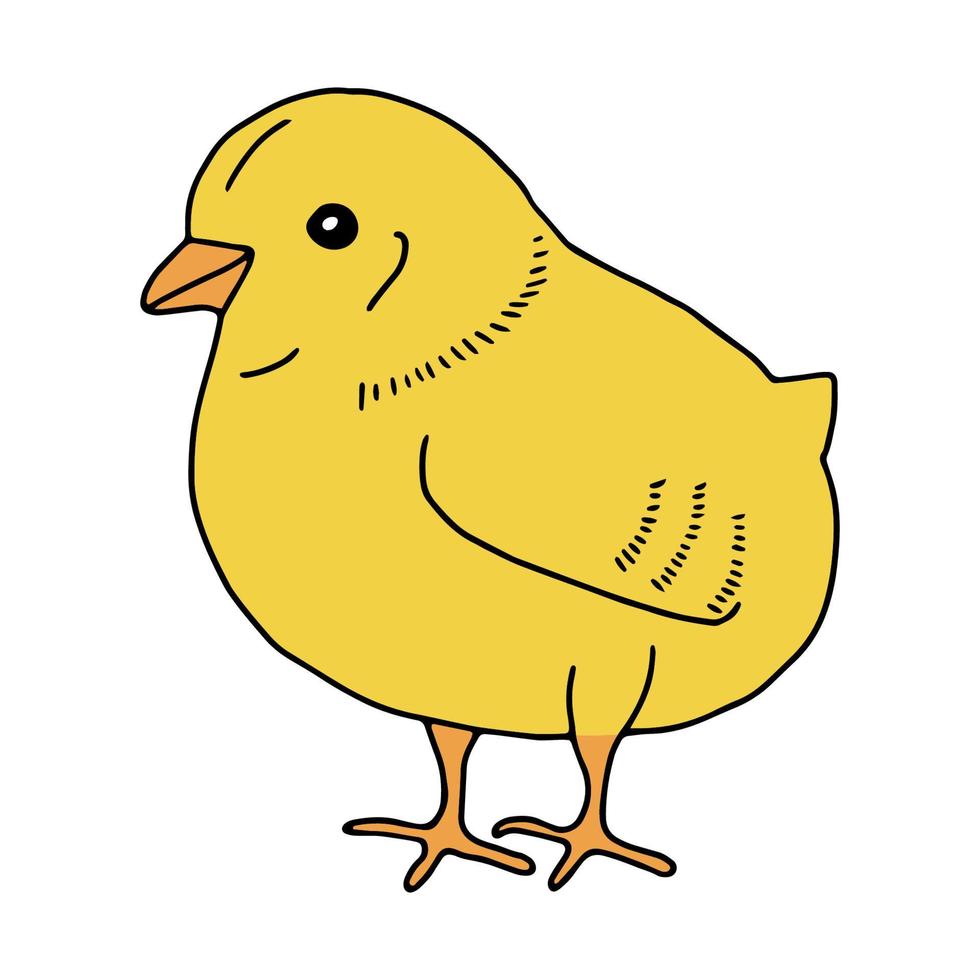 dibujo de líneas dibujadas a mano de pollo amarillo. dibujo de contorno.garabato.dibujo para las vacaciones de semana santa. pequeña casa de pollo.pájaro.ilustración vectorial vector