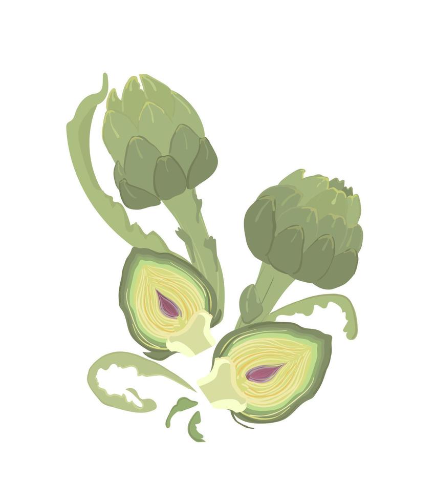 Artichoke green flower heads vector illustration. Fresh farm vegetable. Food artichoke in cartoon style.