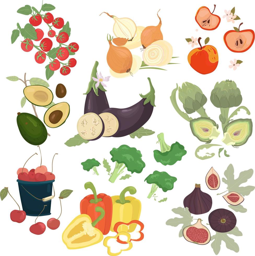 Set of vegetables and fruits. Fresh vegetables for the market. farm products. Vegetables and fruits for menus, presentations. Tomato, onion, fig, apple, avocado. vector