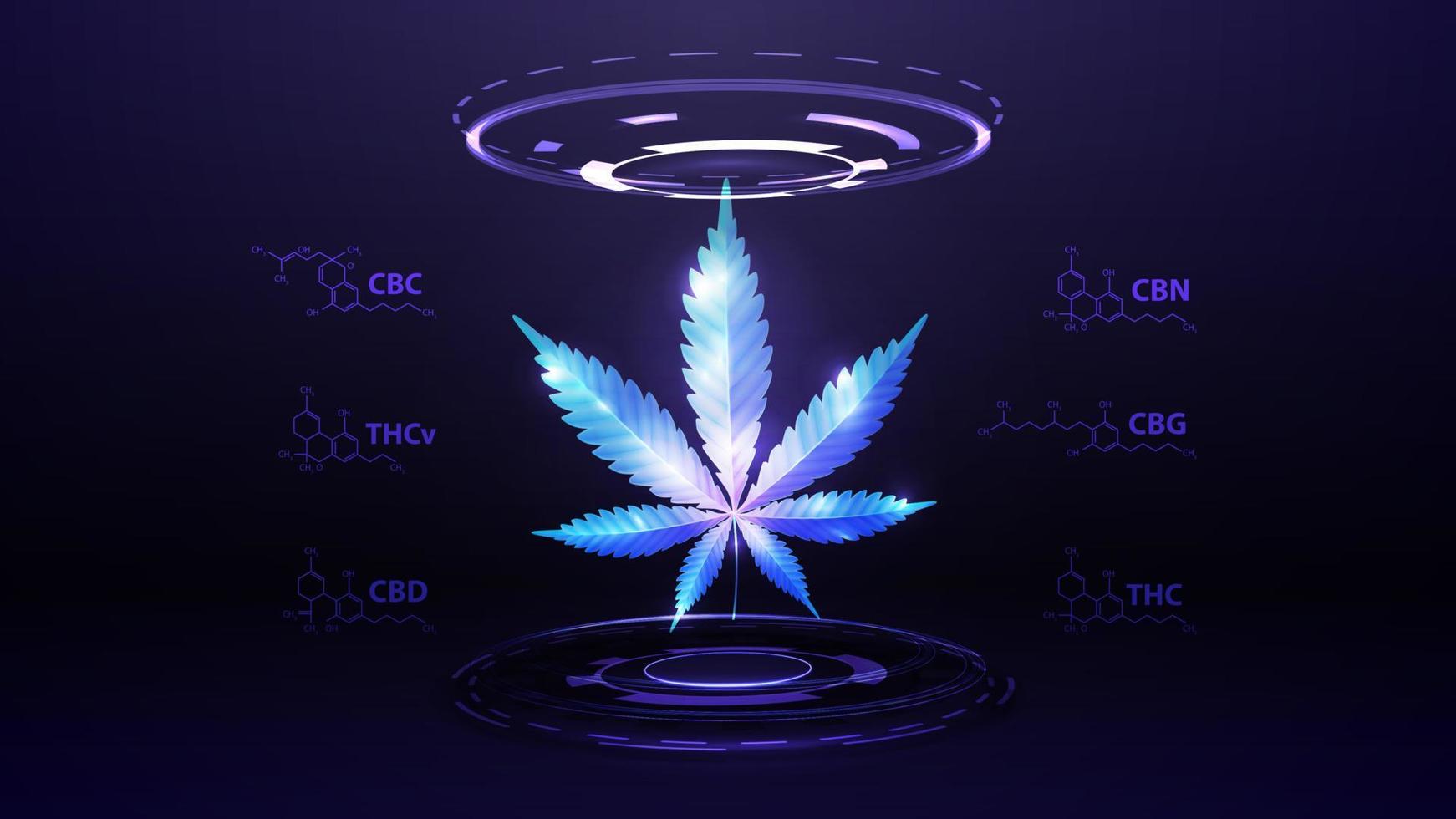 holograma digital azul de hoja de cáñamo con fórmulas químicas de cannabinoides naturales y anillos digitales en cuarto oscuro vector